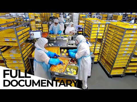 The Logistics of Airplane Food | Secrets of Your Airline Food | ENDEVR Documentary