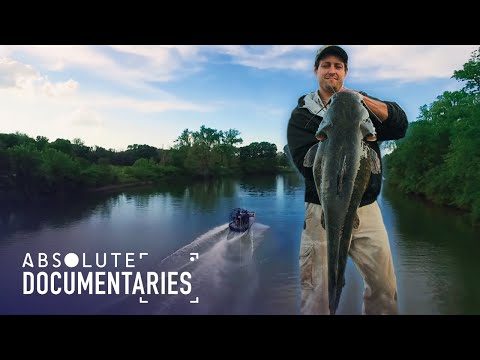 I Caught The Biggest Fresh Water Fish | The Whisker Seeker | Absolute Documentaries