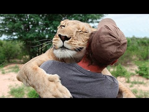 Amazing People Who Saved Animals Lives