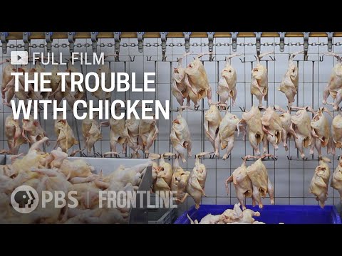 The Trouble with Chicken (full documentary) | FRONTLINE