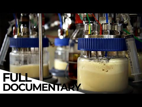 How Biotechnology Is Changing the World | Microorganisms | Biotech | ENDEVR Documentary