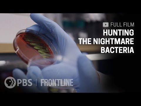 When Antibiotics Don't Work | FRONTLINE (full documentary)