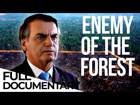 How Brazil is Fighting Against Bolsonaro's Policies | Amazon | Deforestation | ENDEVR Documentary