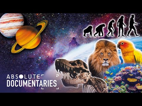 An In-Depth Look Into The Universe, Earth & Evolution (Space Documentary) | Absolute Documentaries