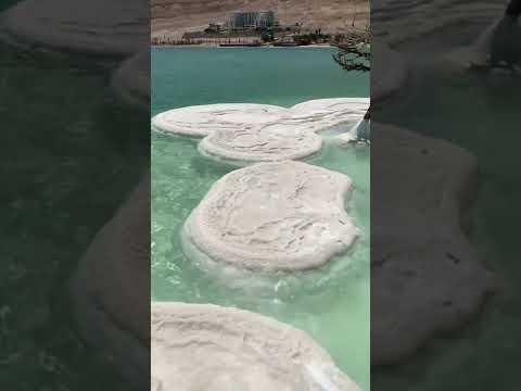 Salt island in the middle of the dead sea #deadsea #israel #travel
