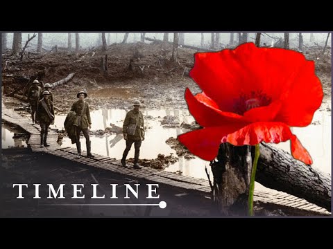 1914: The Horrifying Waste Of The Great War | Great War In Numbers: Season 1 | Timeline