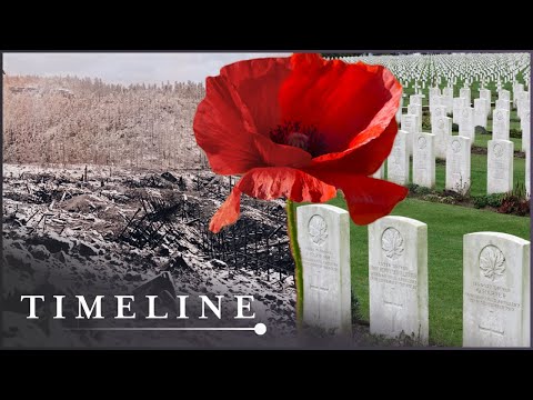 1917: The Human Cost Of The Great War | Great War In Numbers: Season 2 | Timeline
