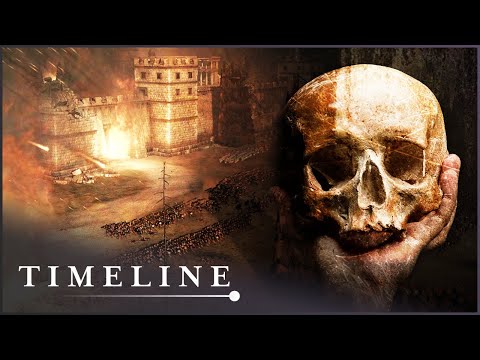 Did Anyone Survive The Siege Of Ancient Carthage? | Lost Warriors | Timeline