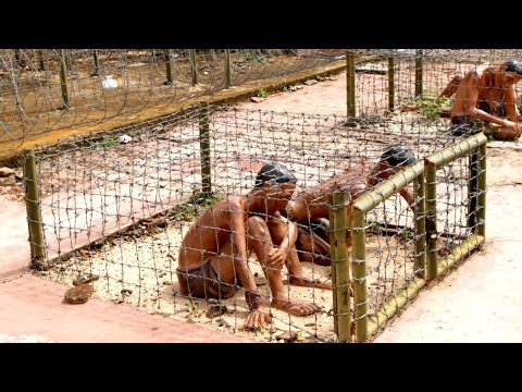 Doku 2022 - Das brutalste Gefängnis der Welt - Dokumentation