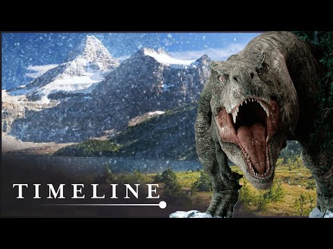 The Hunt For Canada's Great Dinosaur Graveyards | Dino Trails | Timeline