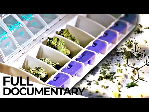 Cannabis: Stigmatized Wonder Drug | ENDEVR Documentary