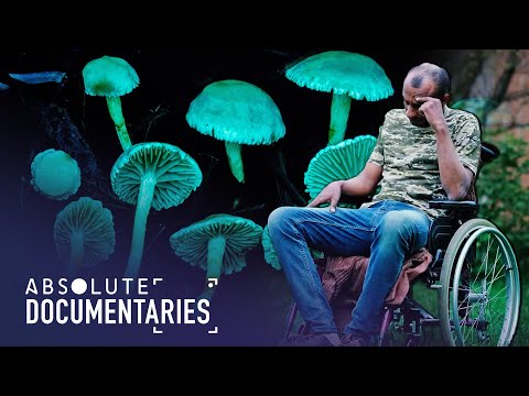 A Psychedelic Revolution: The Power of Psilocybin and Innovative Treatments | Absolute Documentaries