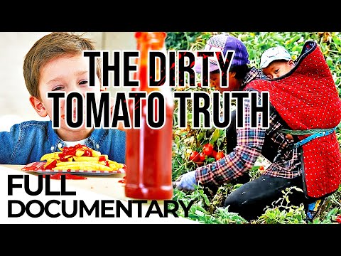 Secrets of our Food: The Hidden Ketchup Chronicles | ENDEVR Documentary