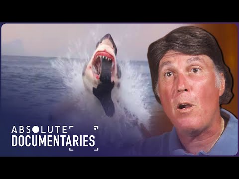 Shark Business: Extreme Shark Encounters Unveiled | Blue Realm | Absolute Documentaries