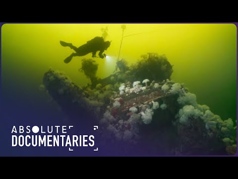 Reefs of Steel: Transforming Naval Vessels into Thriving Underwater Worlds | Absolute Documentaries