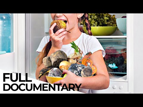 Why Fruits Have Lost Their Vitamins | ENDEVR Documentary