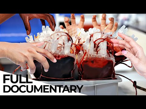 Battle for Blood: How Can the Supply Crisis Be Solved? | ENDEVR Documentary