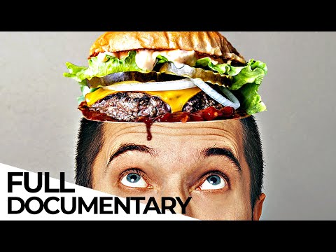 Why Are We Fat? | Complete Series | ENDEVR Documentary