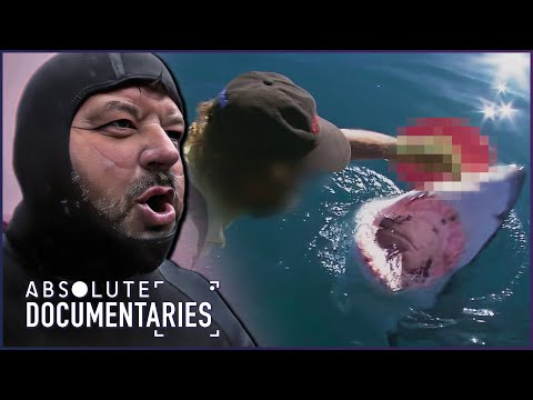 Deep White: The Controversy Behind Baiting Great White Sharks | Absolute Documentaries