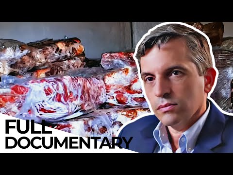 The Food Mafia - How Criminals infiltrating the Global Food Supply Chain | ENDEVR Documentary